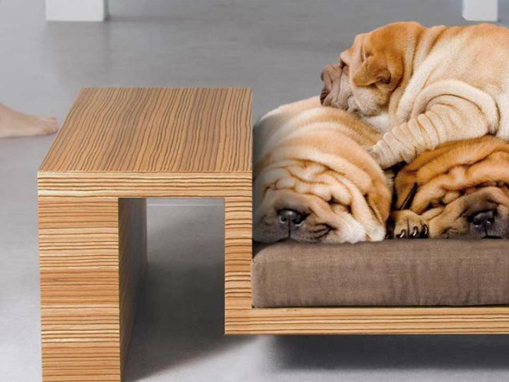 Cama de diseño para mascotas Divanato