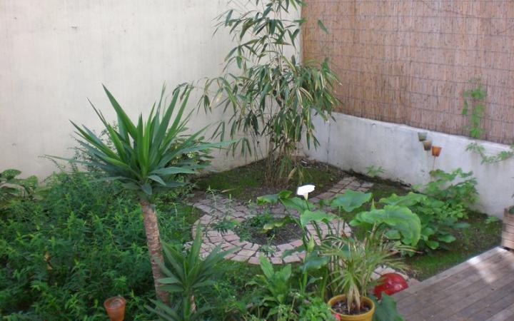 Decoración de la terraza con plantas
