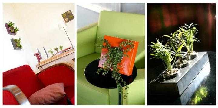 Flowerbox, decoraci&oacute;n con flores y plantas