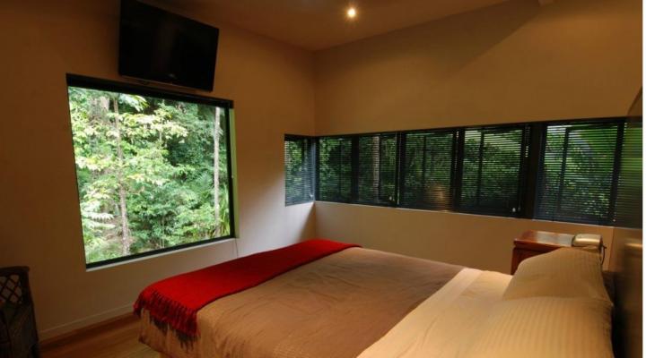 Habitaci&oacute;n de la casa del &aacute;rbol