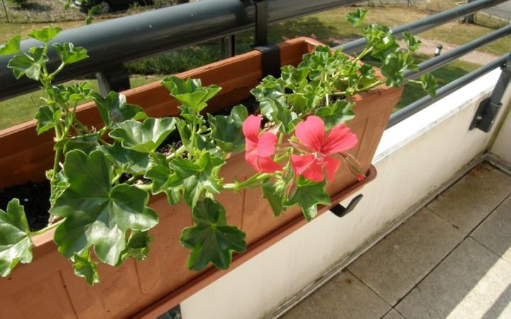 Ideas para crear un jardín en tu propia terraza