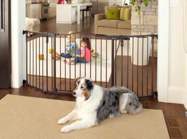 Tips para instalar correctamente una barrera para perros